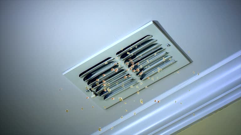 Professional Airduct Cleaning in Mount Vernon, VA